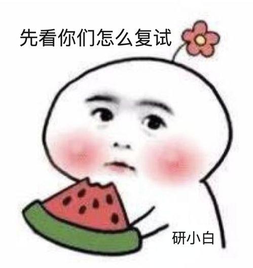 何止吃瓜小说,揭秘娱乐圈背后的真相与秘密