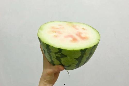 吃瓜爱可可,揭秘网红美食背后的故事